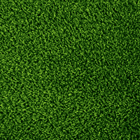 SpeedField30™ - FG-30N