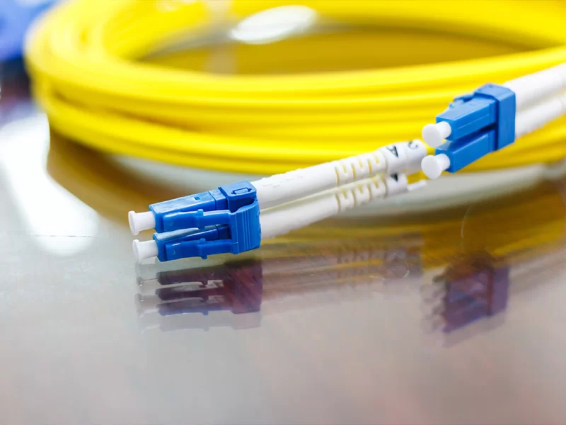 Delton Fiber OFC Patch Cord