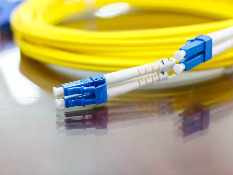Delton Fiber OFC Patch Cord