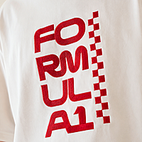 FORMULA 1 | Embroidered T-Shirt | Oversized Fit