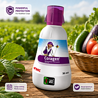Coragen Insecticide | Vetrivel Agro Services