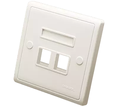 Digisol Channel SCS Face Plate, One Piece, Dual Port, W/O Shutter