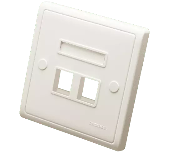 Digisol Channel SCS Face Plate, One Piece, Dual Port, W/O Shutter