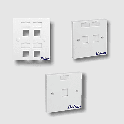 Delton Unshuttered Face Plates Dual Port (DLT-FPDWS)
