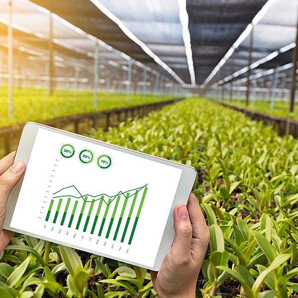 Farm Produce Marketing Advisory