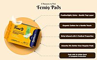 Sanitary Napkin - Femi Anion Pack Sanitary Napkin - Femi Anion Pack