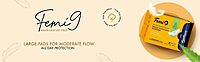 Sanitary Napkin - Femi Anion Pack Sanitary Napkin - Femi Anion Pack