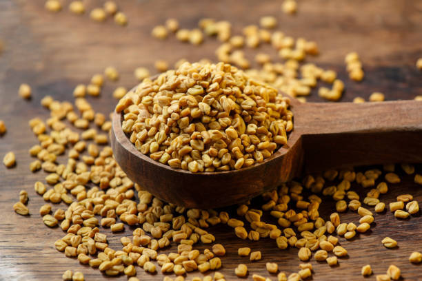 Fenugreek (Methi)