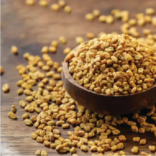 METHI SEEDS