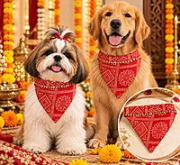 Bandhani Festive Bandana