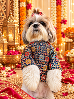Rich-Navy Embroidered Festive Kurta