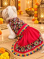 Garba Glam Lehenga Choli for Pets