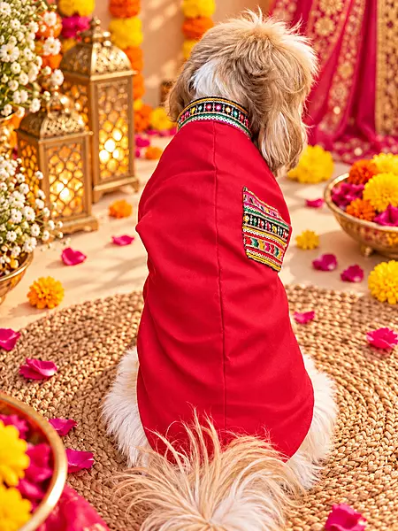 Laal Gulab Embroidered Kurta for Pets