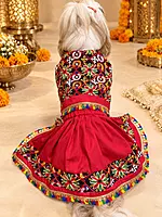 Garba Glam Lehenga Choli for Pets