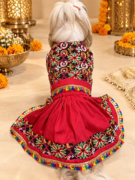 Garba Glam Lehenga Choli for Pets