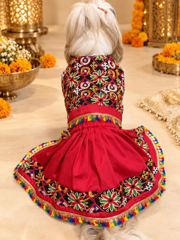 Garba Glam Lehenga Choli for Pets