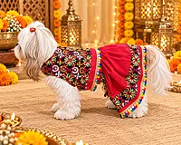 Garba Glam Lehenga Choli for Pets