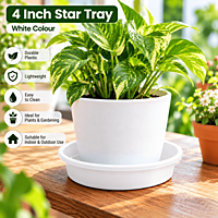 4 Inch Plastic Plant Tray | ECSHA