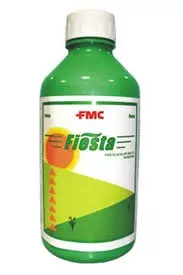 Fiesta-(Fmc)