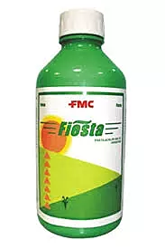 Fiesta-(Fmc)