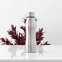 SATYAS Stainless Steel water bottles
