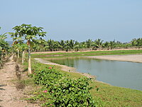 Dairy, Fisheries & Livestock Subsidy Consulting