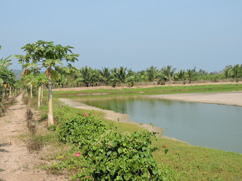 Dairy, Fisheries & Livestock Subsidy Consulting