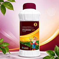 Ichiban Chowkidar SUPER Fungicide | Vetrivel Agro Services