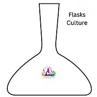 Flasks - Culture - Haffkine