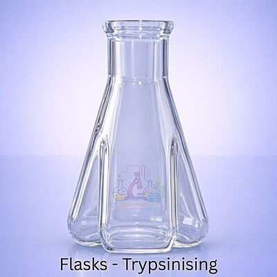 Flasks - Trypsinising