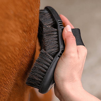 Waldhausen Flex Grooming Brush Horsehair - Black/ Grey
