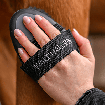 Waldhausen Flex Grooming Brush Horsehair - Black/ Grey