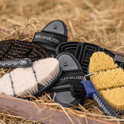 Waldhausen Flex Grooming Brush Horsehair - Black/ Grey