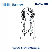 FlexTop 2203 Temperature Transmitter