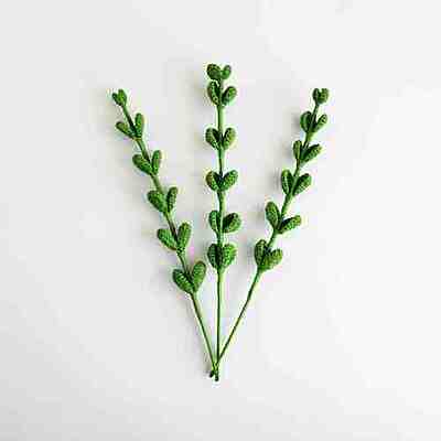 Eucalyptus Stem Large Light Green