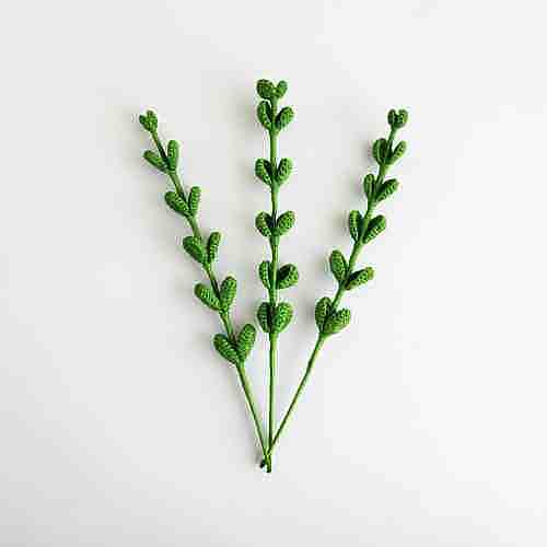 Eucalyptus Stem Large Light Green