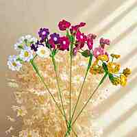 Flower Burst Vertical Daisy