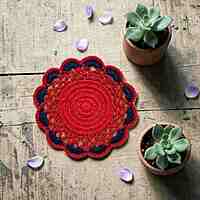 Double Colour Trivet Red / Blue