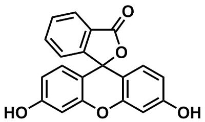 Fluorescein 1 Kg CAS #518?47?8