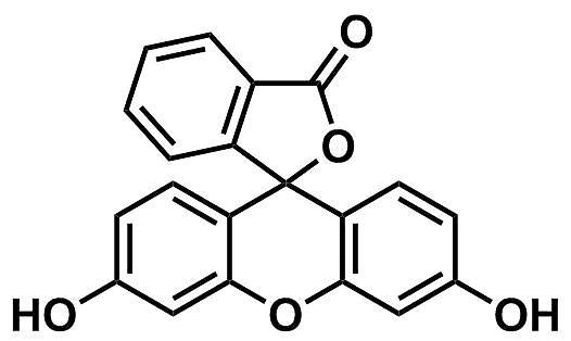 Fluorescein 1 Kg CAS #518?47?8