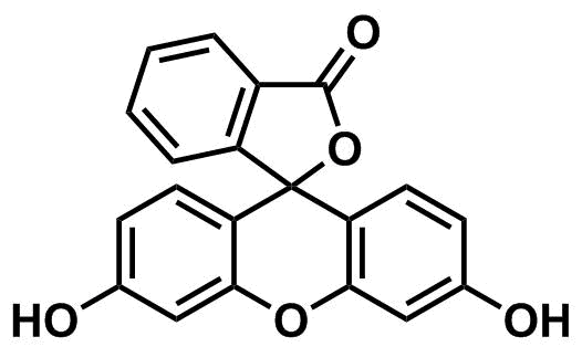 Fluorescein 1 Kg CAS #518?47?8