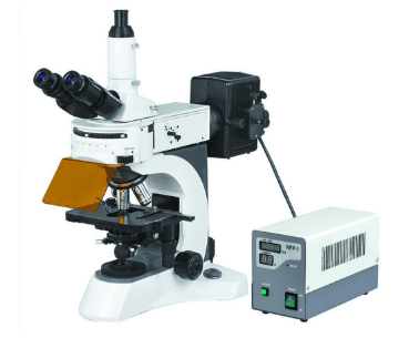 Fluorescence Microscope