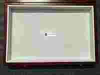 Insect storage box for colleges