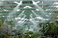 Fogging System Installation – Polyhouse & Nursery Climate Cooling Service