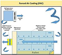 Pre-Cooling Service for Fruits & Vegetables