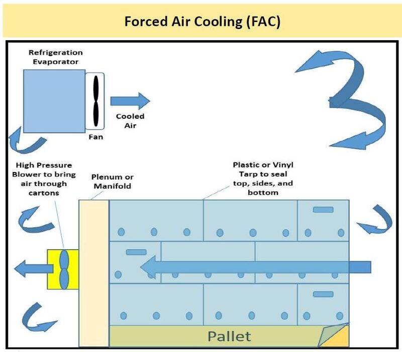 Pre-Cooling Service for Fruits & Vegetables