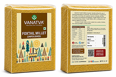 Foxtail Millet