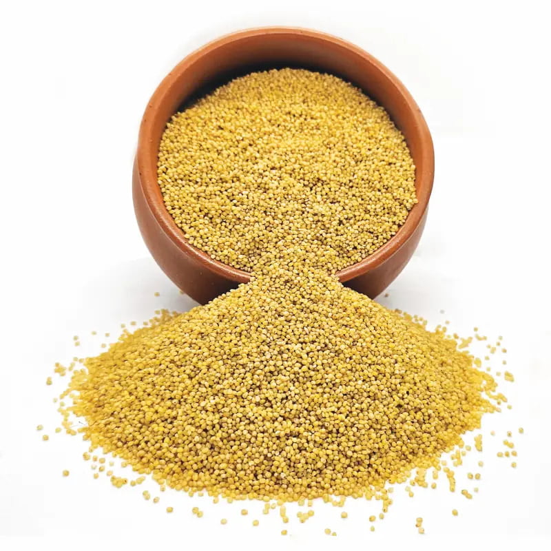 Organic Foxtail Millet Organic Foxtail Millet