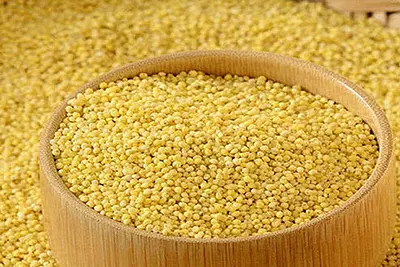 Foxtail millet Thinai