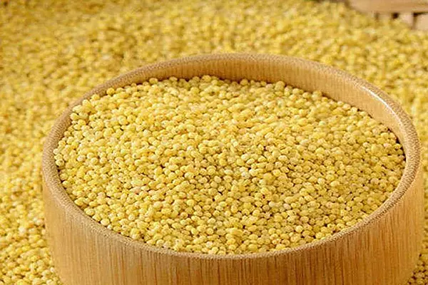 Foxtail millet Thinai